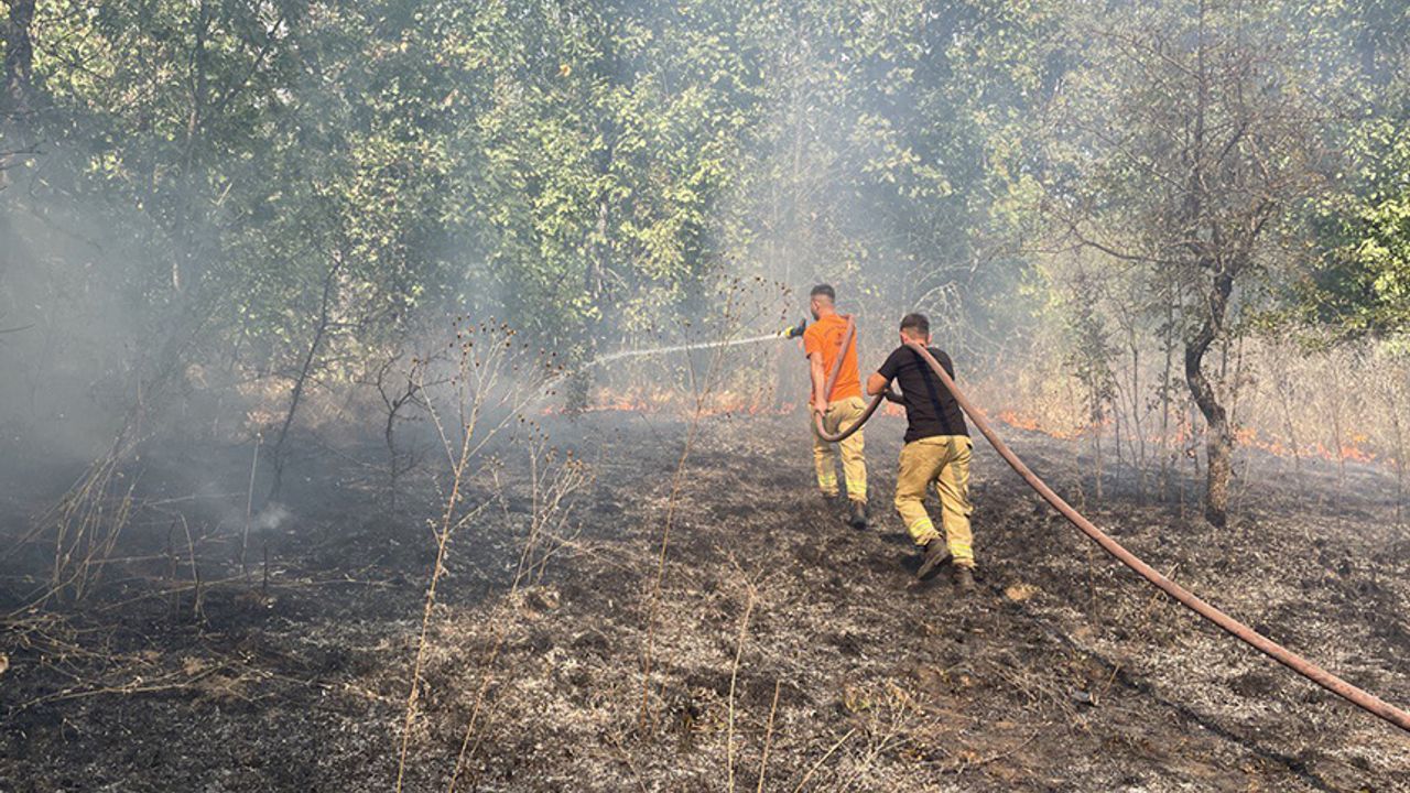 Edirne'de sınır hattında yangın