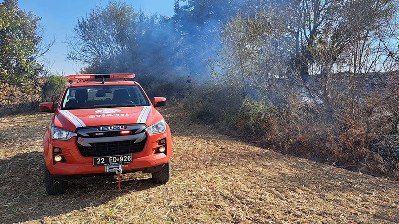 Edirne'de yangın:  100 dönüm tarım arazisi zarar gördü