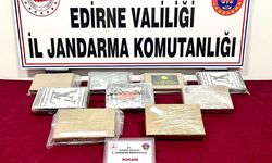 Edirne'de bir tırda 10 kilogram kokain ele geçirildi