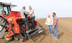 Yağışlar öncesinde buğday ekimi hızlandı