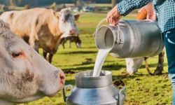Süt fiyatlarında artış talebi