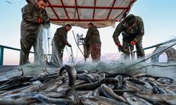 Tekirdağlı balıkçılar dikkat