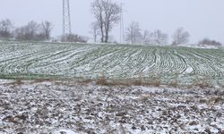 Buğday üreticileri kar yağışına sevindi