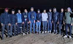 288 düzensiz göçmen yakalandı