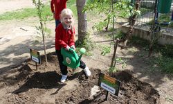 "Okulda Çiftlik" Projesi'nda meyve fidanları toprakla buluştu