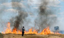 Buğday tarlalarındaki anız yangınları söndürüldü