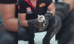 Su borusunda sıkışan kedi yavrusunu itfaiye ekipleri kurtardı