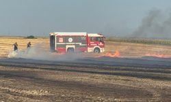Çorlu'daki anız yangınında  200 dönüm tarım arazisi zarar gördü