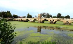 Tunca Nehri yeşile boyandı