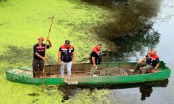 Tunca Nehri'nde balığa rastlanmadı