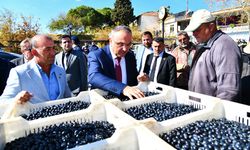 Soytürk zeytin üreticilerinin sorunlarını dinledi