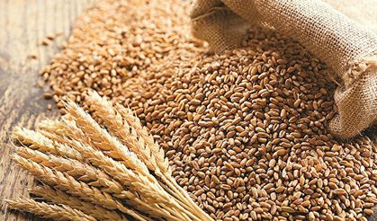 Buğday 6,315 liradan satıldı