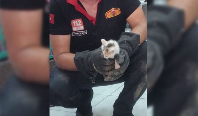 Su borusunda sıkışan kedi yavrusunu itfaiye ekipleri kurtardı