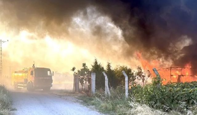 Svilengrad ilçesindeki yangına Kırklareli'den 50 kişilik destek