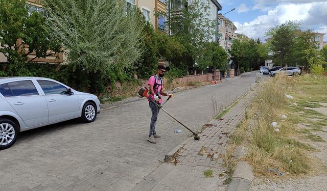 Ot biçme ve temizlik taleplerine anında yanıt