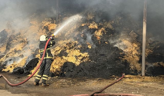 Çiftlikte çıkan yangında ahır ve depo yandı ama  hayvanlar kurtarıldı