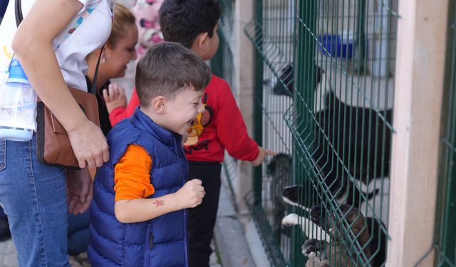 Çocuklara hayvan sevgisi aşılandı