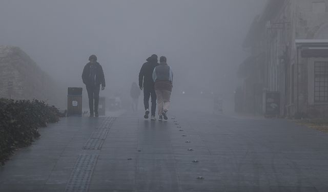 Edirne'de yoğun sis