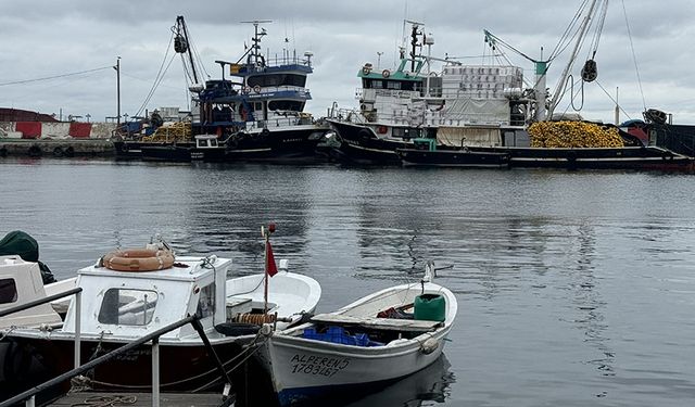 Karadeniz'de  hamsi ve istavrit arayacaklar