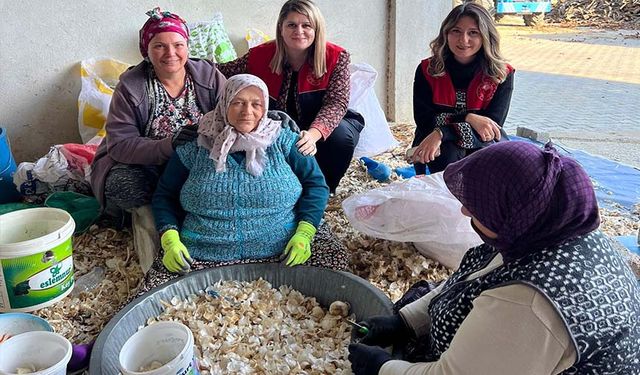 Tarım ve Orman Müdürlüğü'nden sarımsak üreticilerine ziyaret