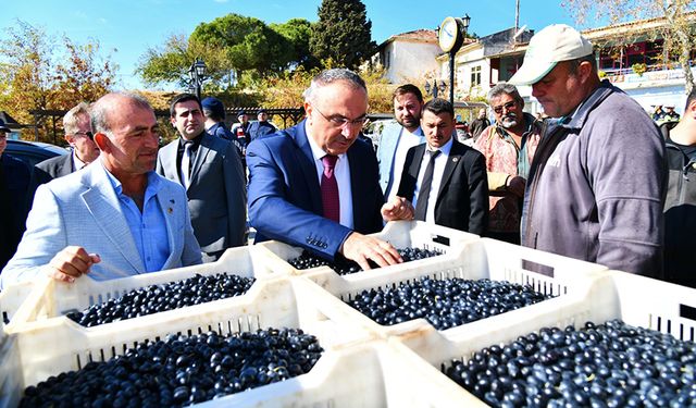 Soytürk zeytin üreticilerinin sorunlarını dinledi