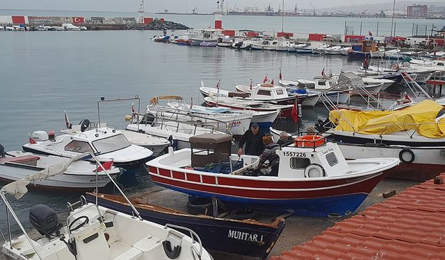 Tekirdağlı balıkçılar Karadeniz’den mutlu döndü