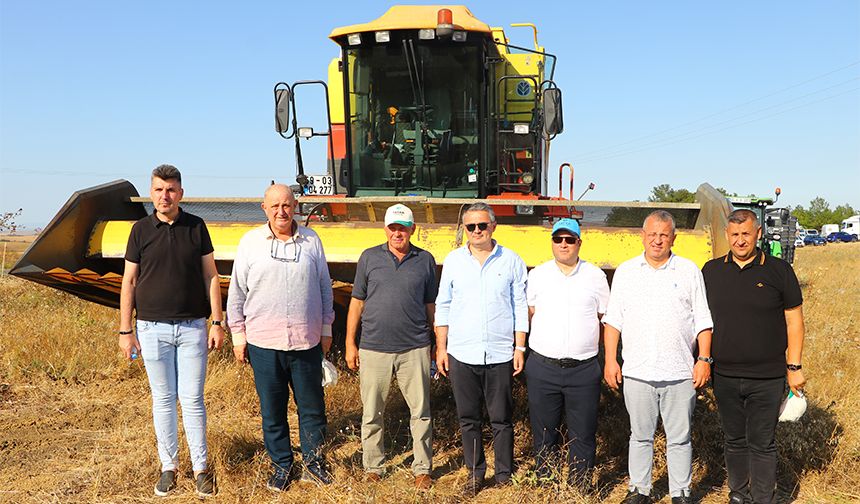 "Ayçiçek Hasat Bayramı" etkinliği